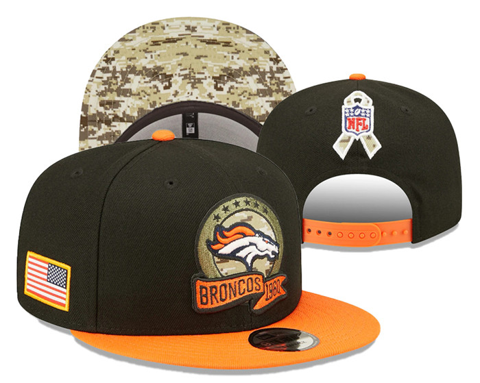 Denver Broncos Salute To Service Stitched Snapback Hats 0119